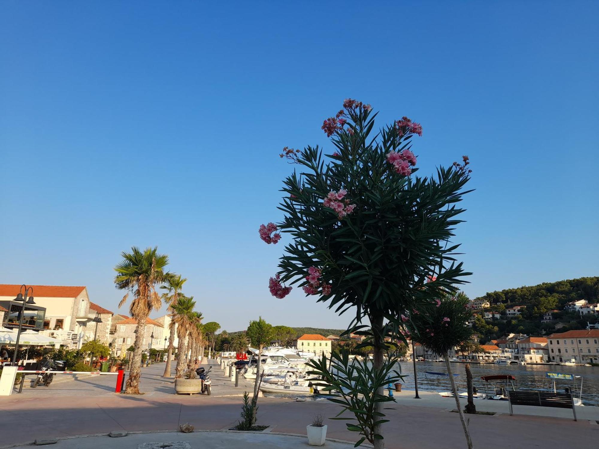 Hvar Architect'S House Pitve Екстер'єр фото