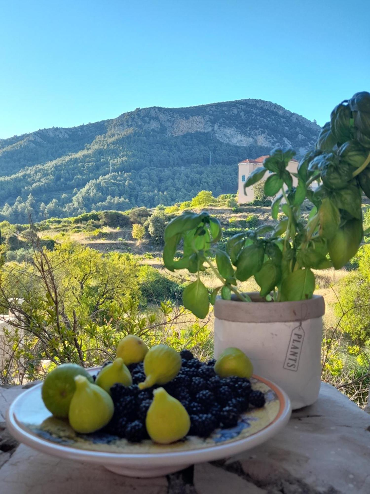 Hvar Architect'S House Pitve Екстер'єр фото