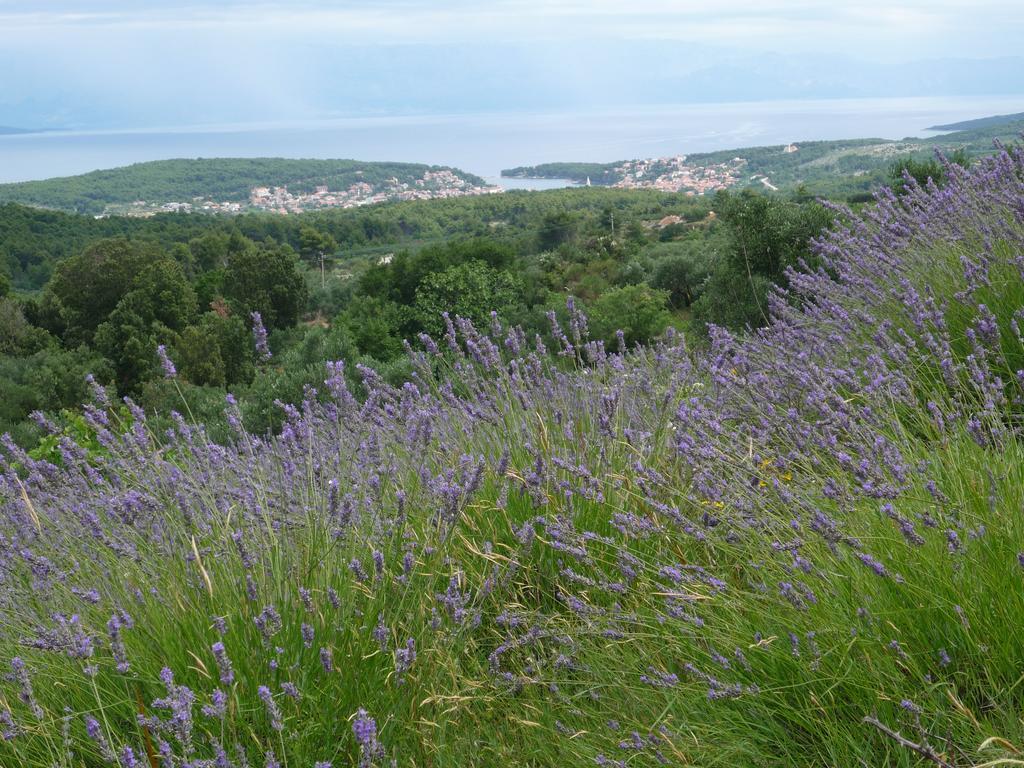 Hvar Architect'S House Pitve Екстер'єр фото